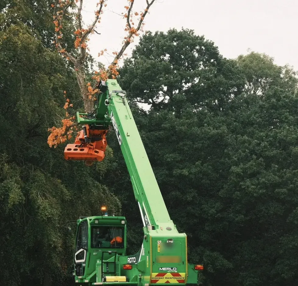 Roto telehandler with a tree grab dismantling a tree beside a road under highway maintenance