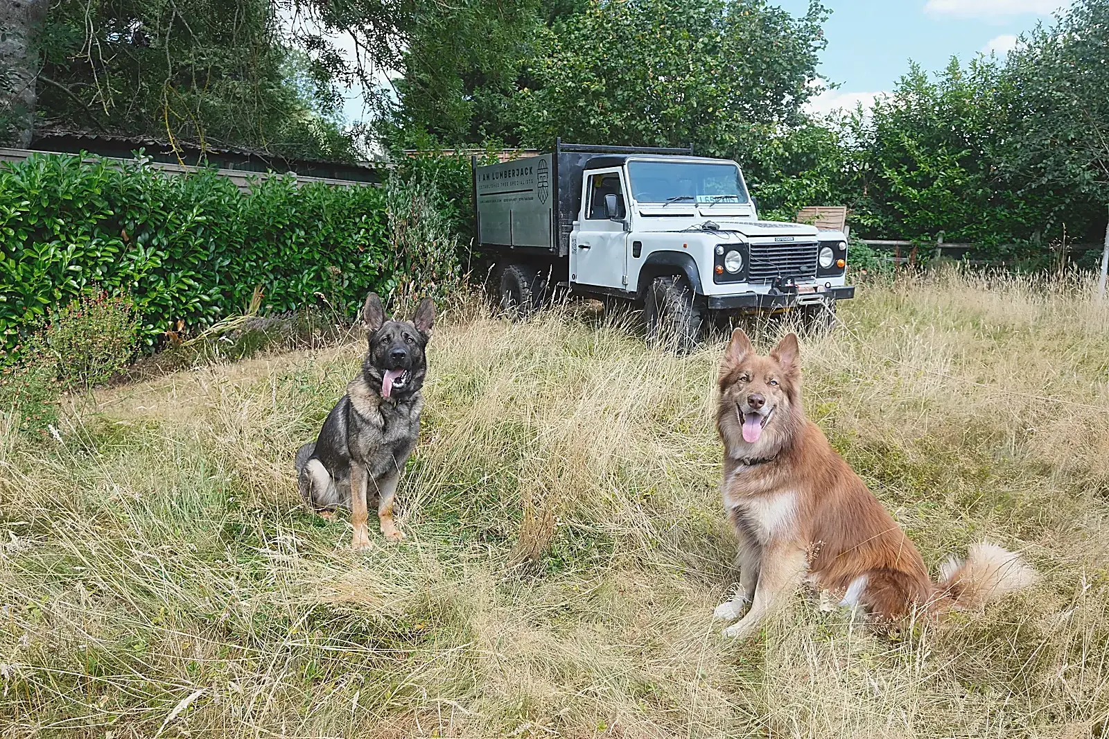 Axe and Ryder with the I Am Lumberjack Defender