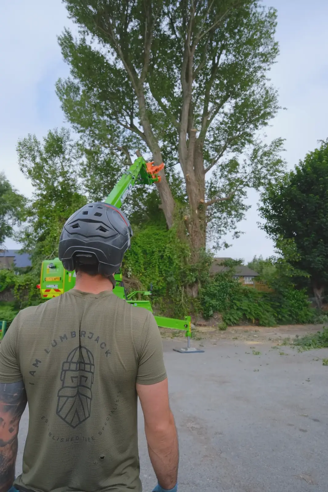 Watching the grab bring down a section