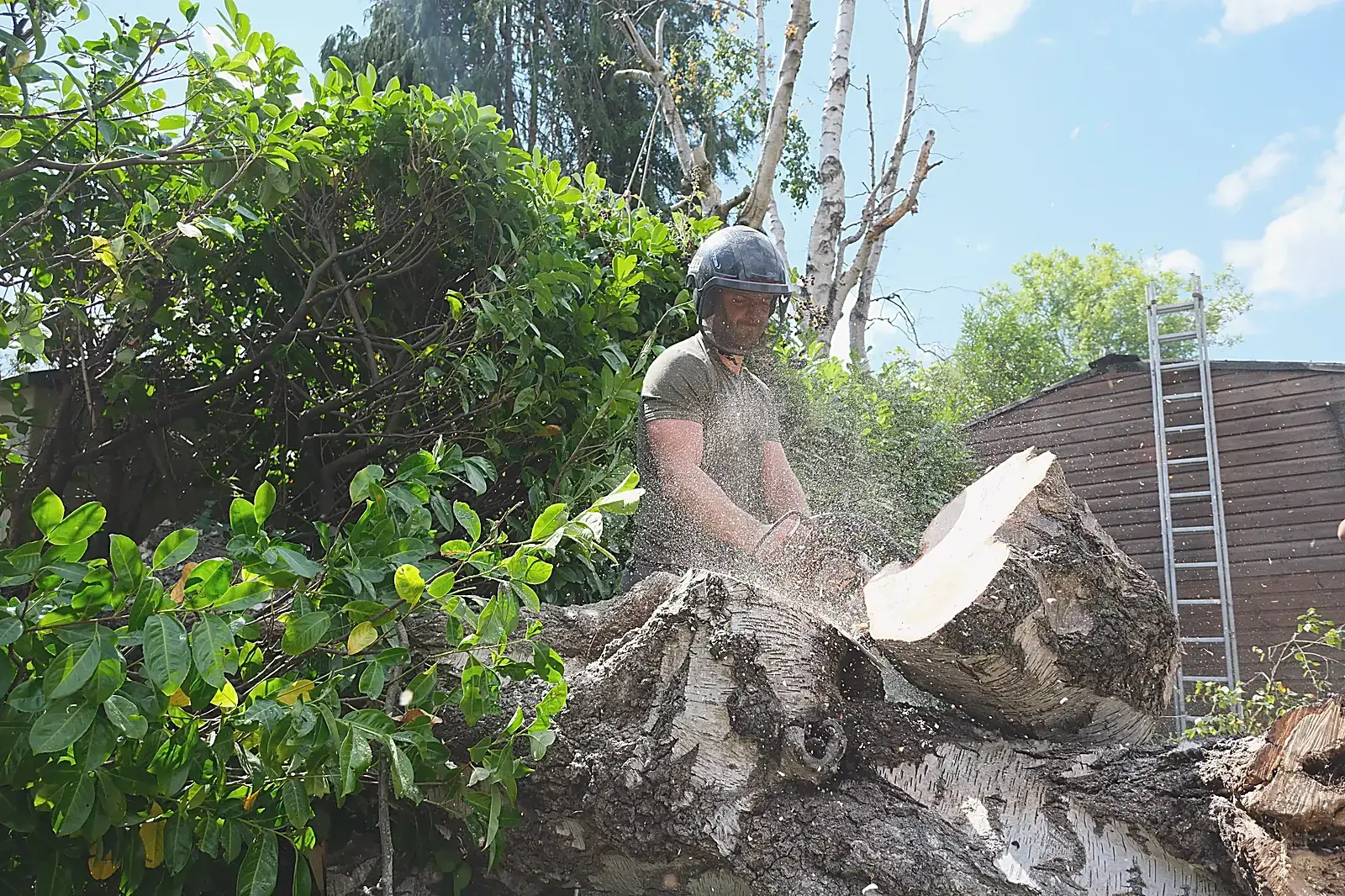 Logs for the fire