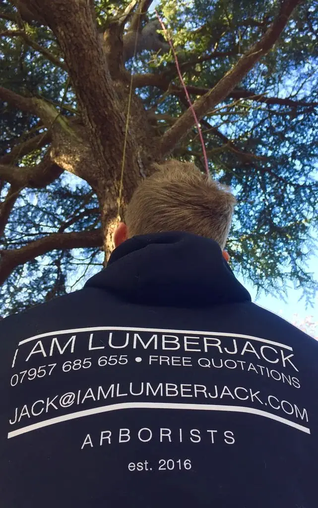 Team hoodie: I Am Lumberjack, est. 2016