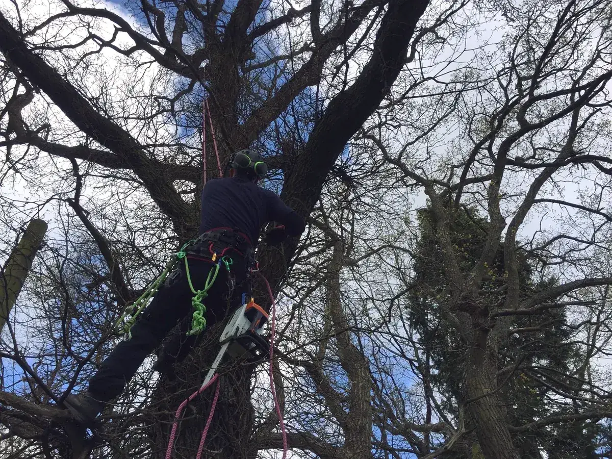 Climber roped into a large crown