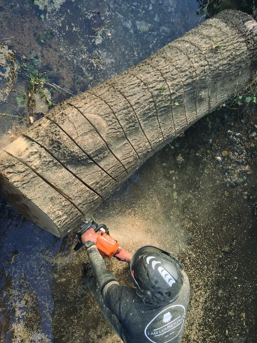 I Am Lumberjack crew at work