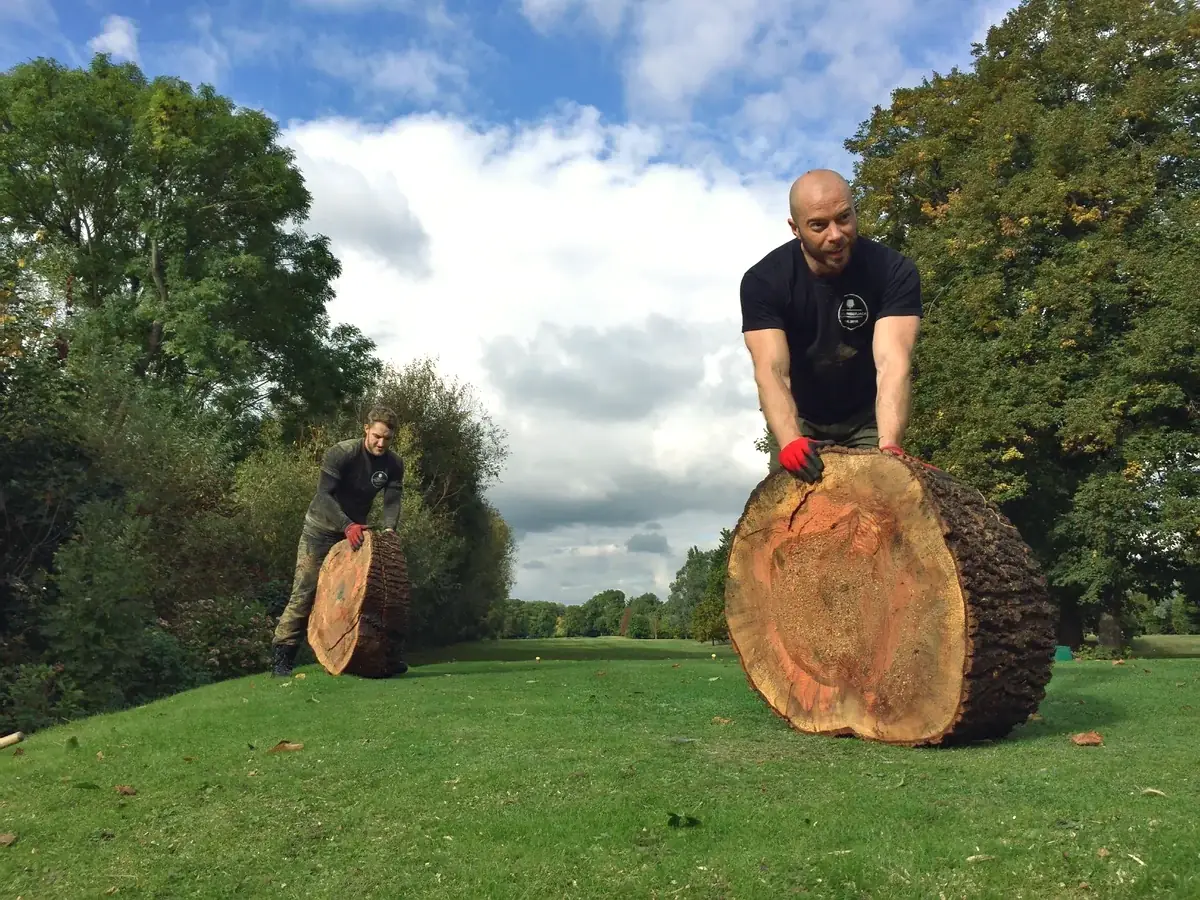 Rolling a large round of timber