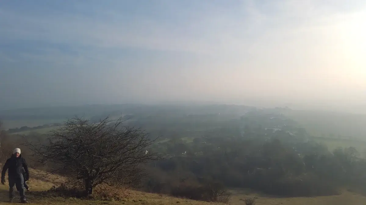Misty morning view from a site
