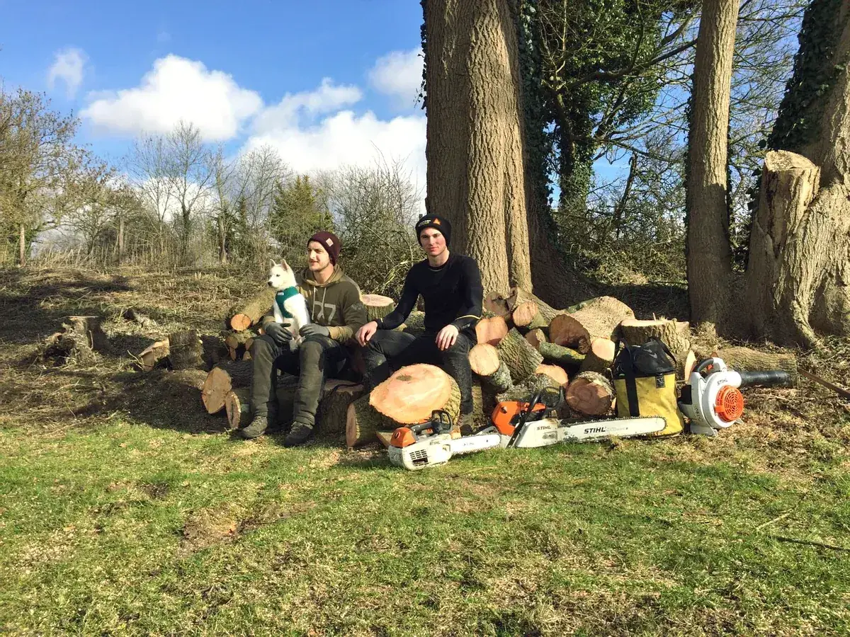 Crew resting on cut logs