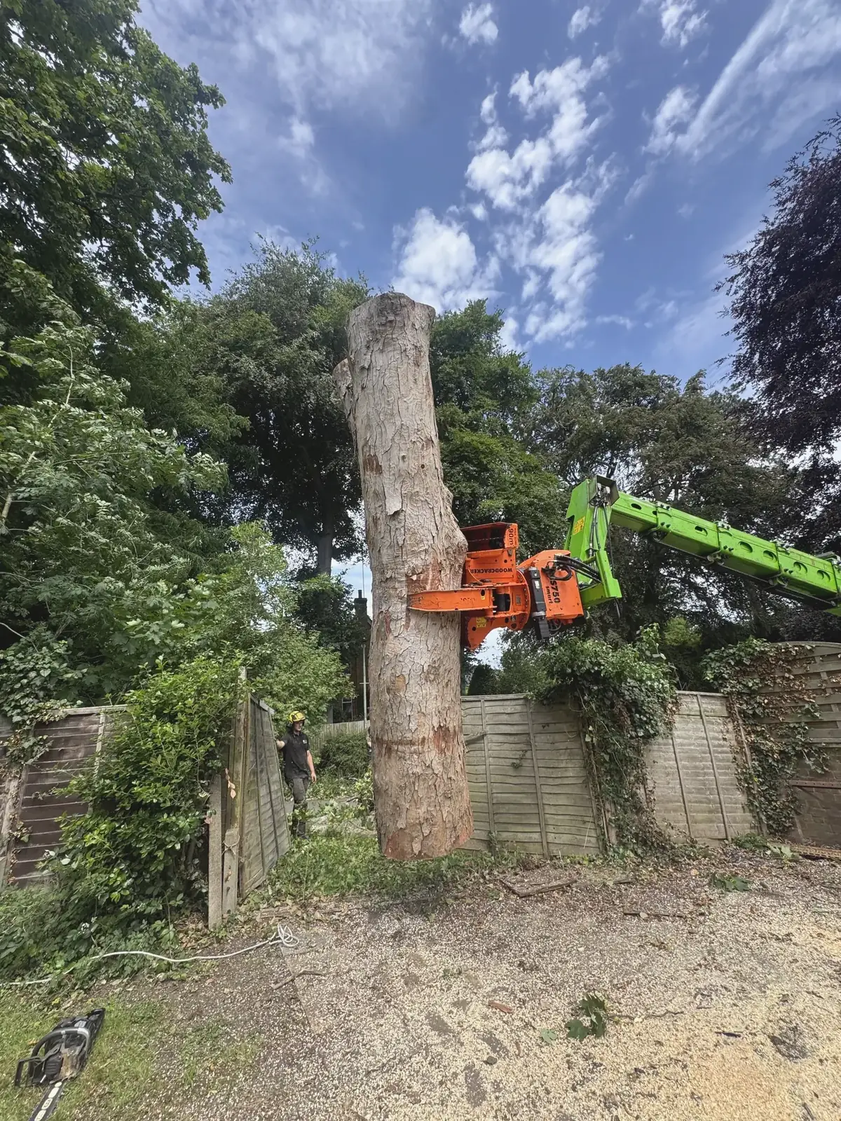 Crane grab holding a tall trunk during a sectional fell