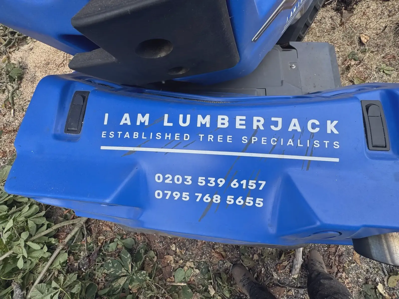 Emergency tree removal by I Am Lumberjack