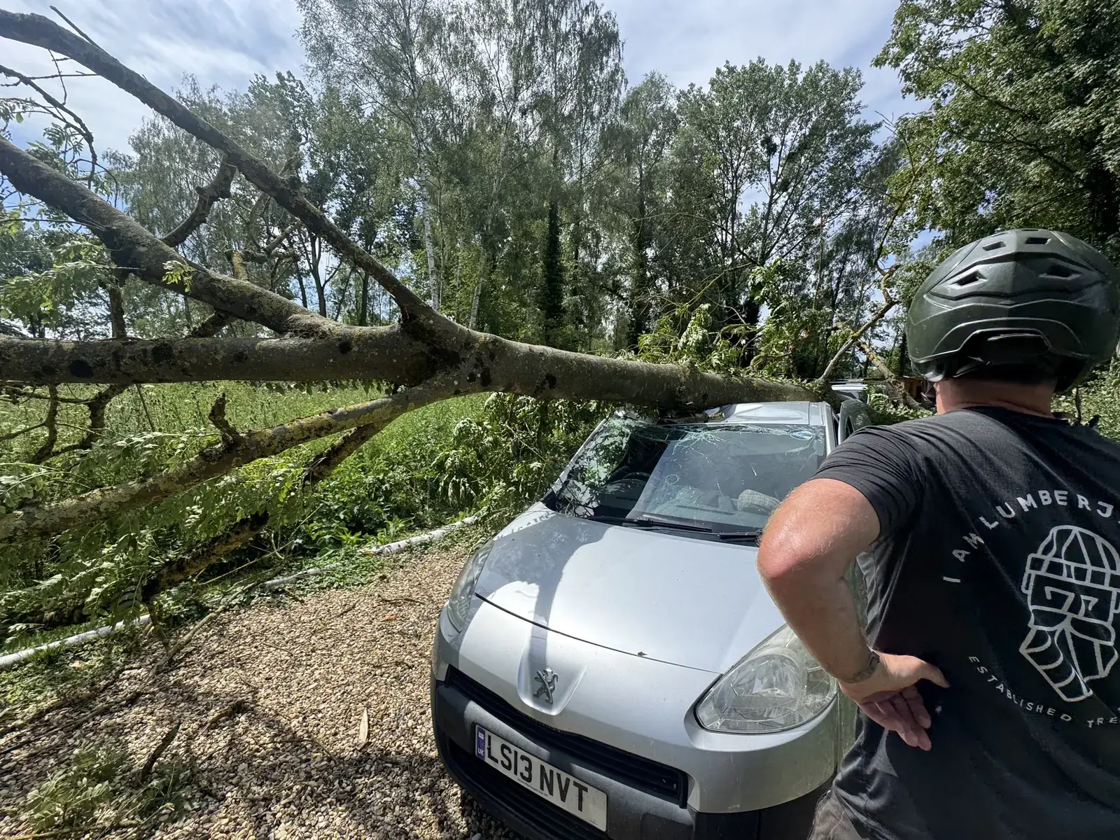 Large tree fallen on vehicle: storm damage, Soupir France